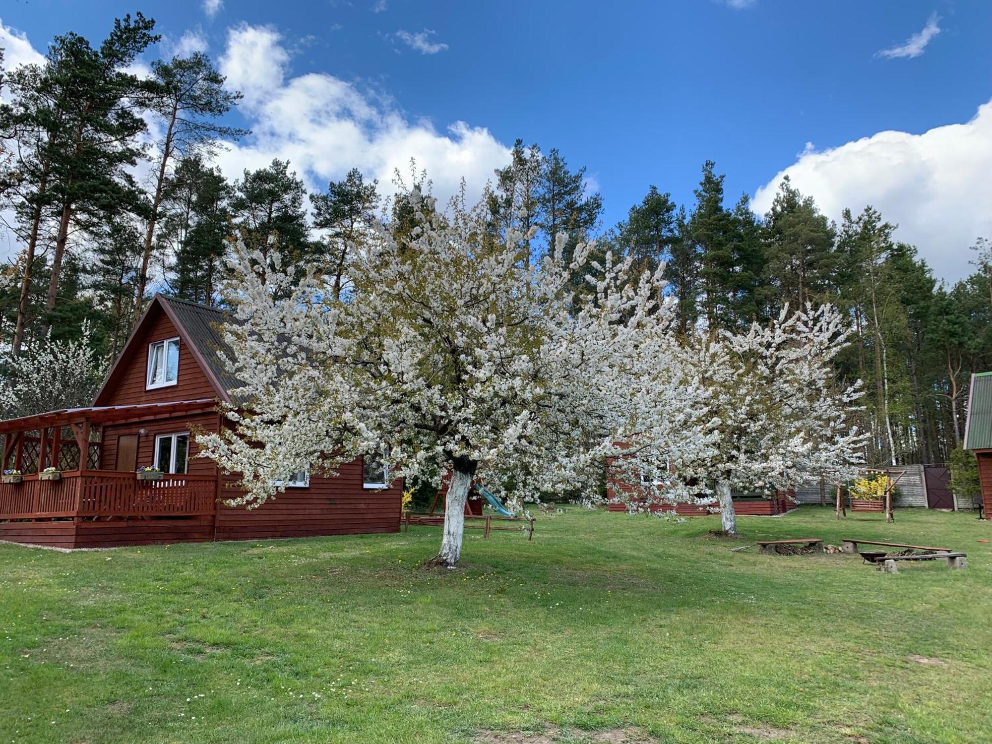 Gryfne Kaszuby Villa Kamienica Krolewska Buitenkant foto